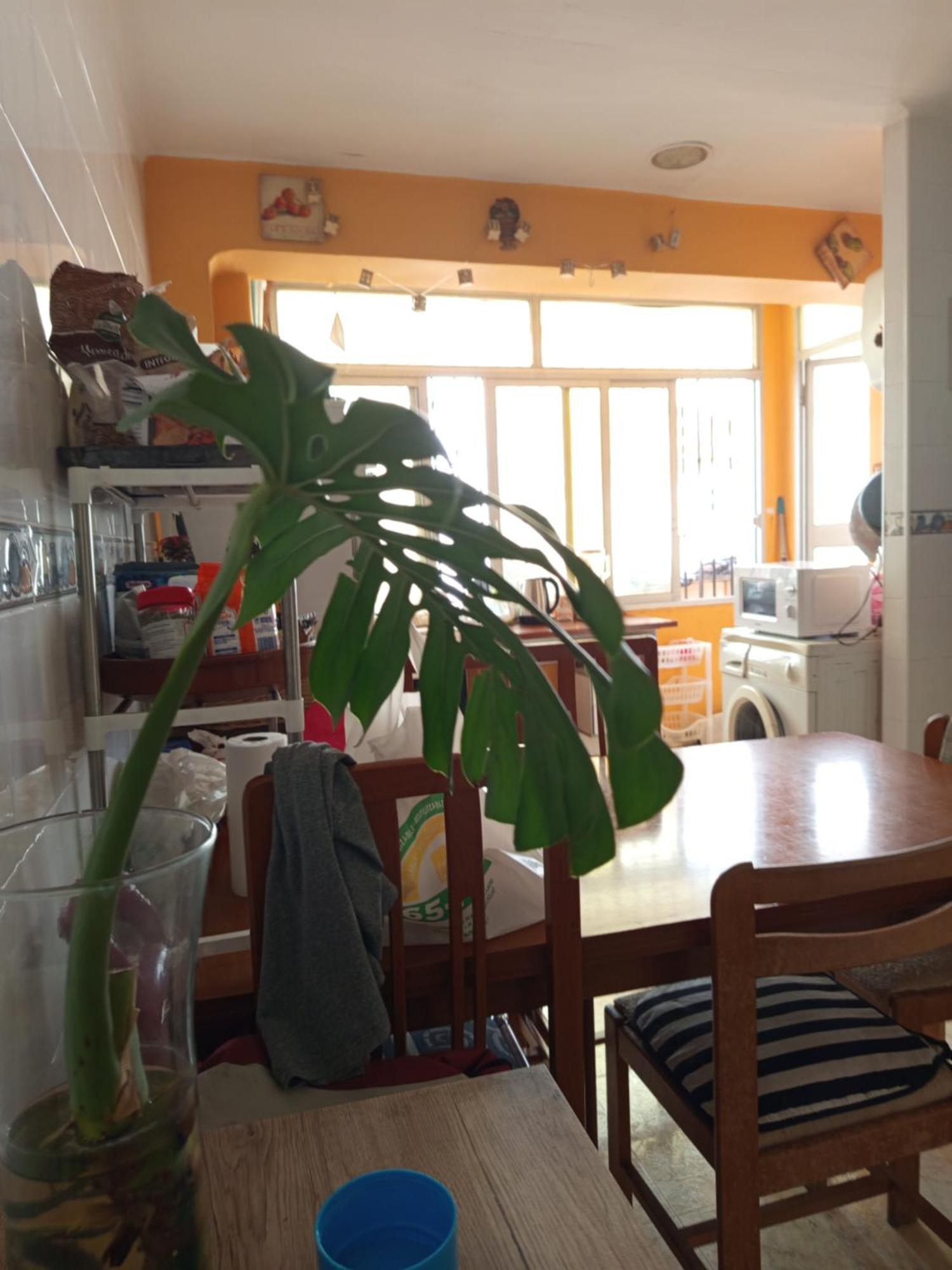 Habitaciones Comodas Гандія Екстер'єр фото